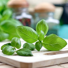 Basil Seed