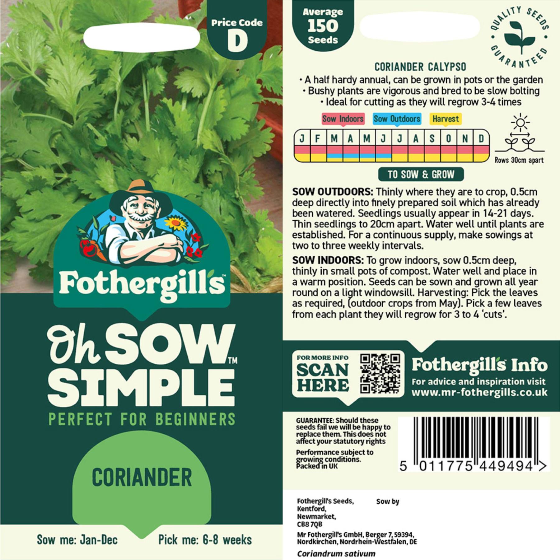 Coriander Calypso Seed