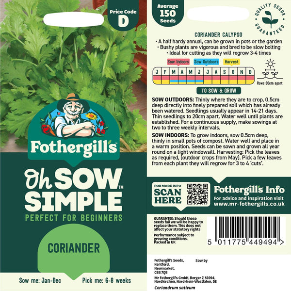 Coriander Calypso Seed