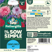 Cornflower Mix Seed