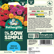 Dahlia Dwarf Mix Seed