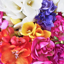 Freesia - Doubles Mix: 15 bulbs