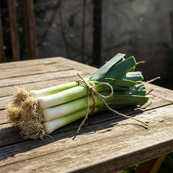 Leek Seed