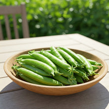 Pea Snap Seed