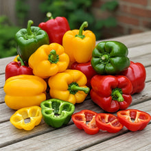 Pepper Sweet Seed