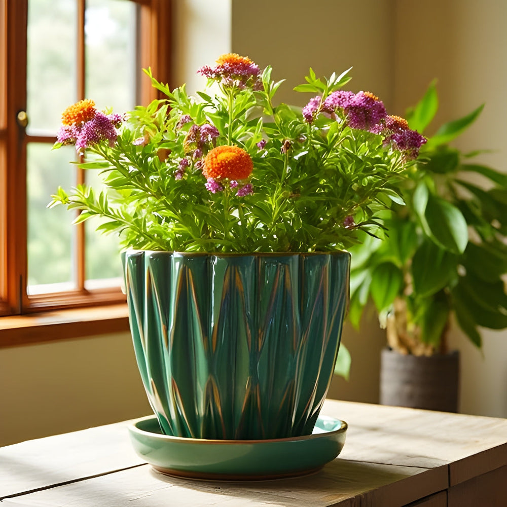 Dimensional Planter with Attached Saucer